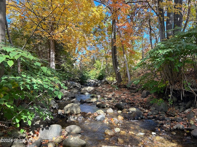 view of nature