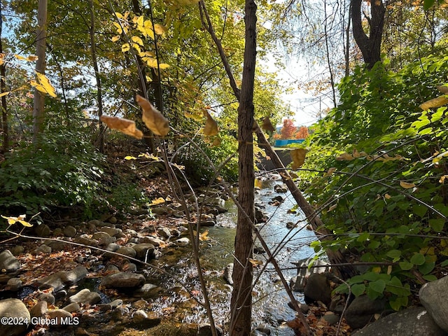 view of nature