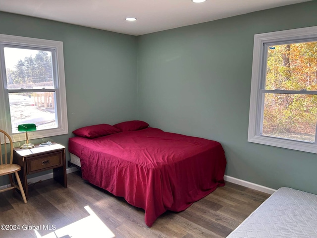 bedroom with multiple windows and hardwood / wood-style flooring