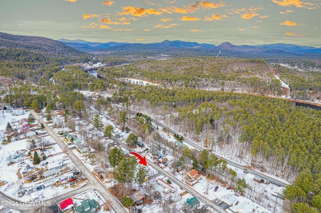 snowy aerial view with a mountain view