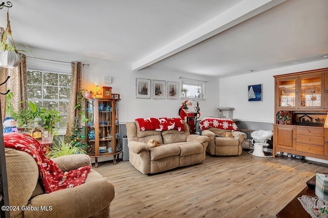 living room with beamed ceiling, a healthy amount of sunlight, and light hardwood / wood-style floors