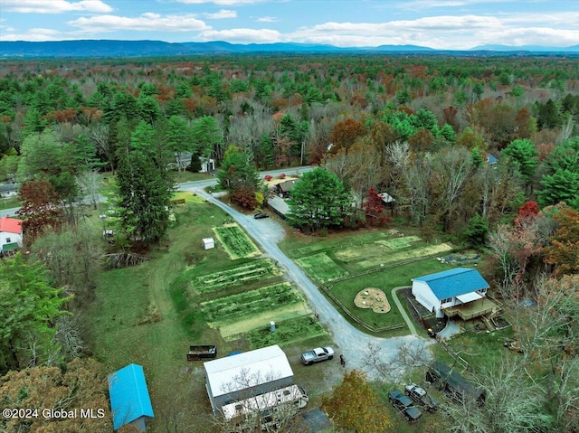 drone / aerial view featuring a mountain view