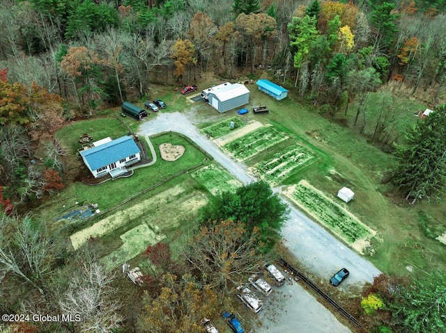 aerial view