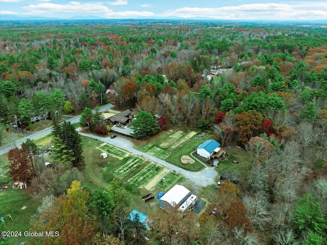 aerial view