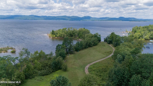 drone / aerial view with a water and mountain view