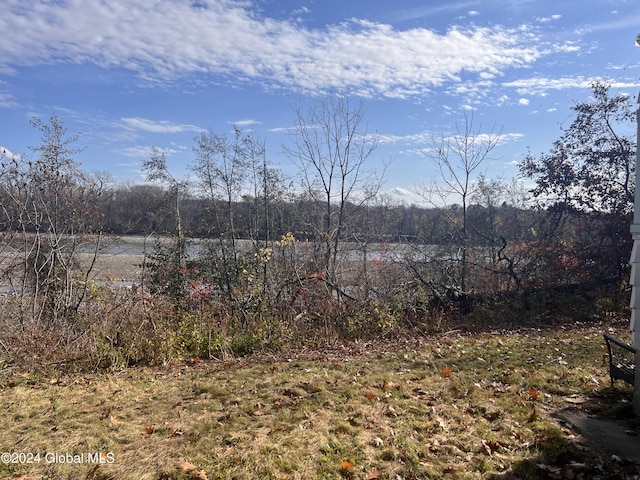123 Iroquois Trail Rd, Amsterdam, NY 12177 - view of yard