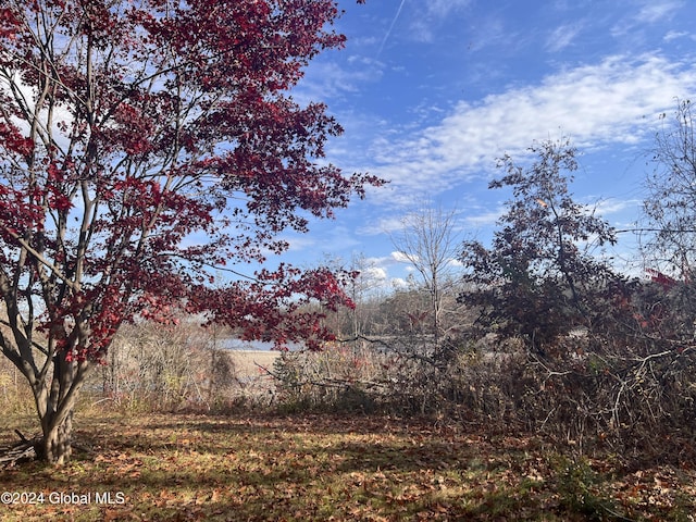 123 Iroquois Trail Rd, Amsterdam, NY 12177 - view of yard