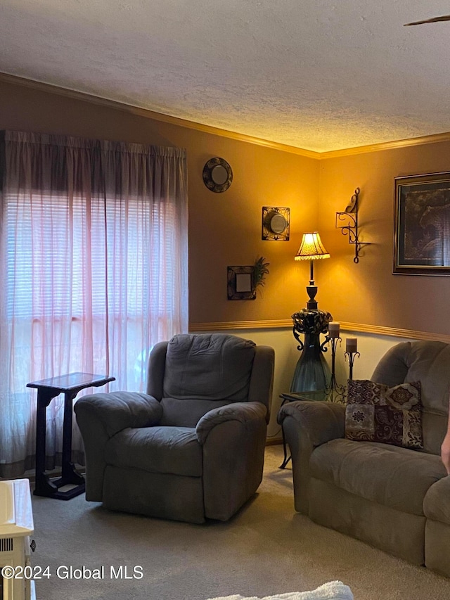 carpeted living room with a textured ceiling and crown molding