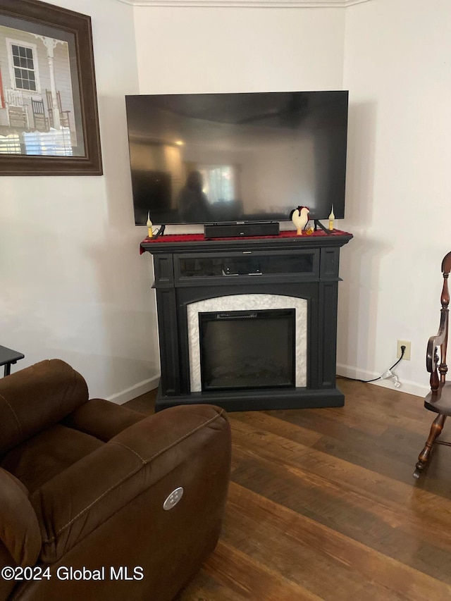 living room with dark hardwood / wood-style flooring