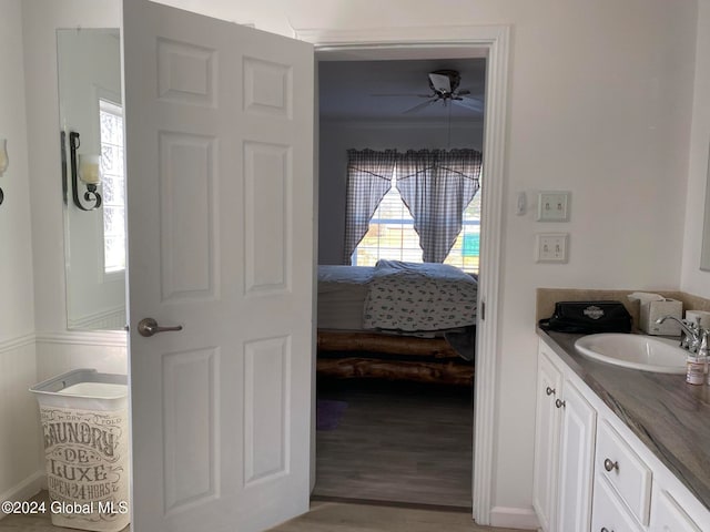 bathroom featuring vanity, a healthy amount of sunlight, wood-type flooring, and ceiling fan