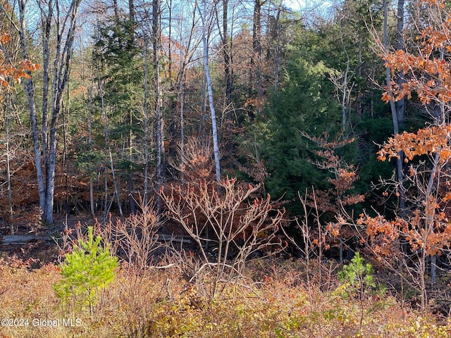 view of landscape