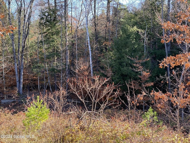 1750 Call St, Lake Luzerne, NY 12846 - photo 24