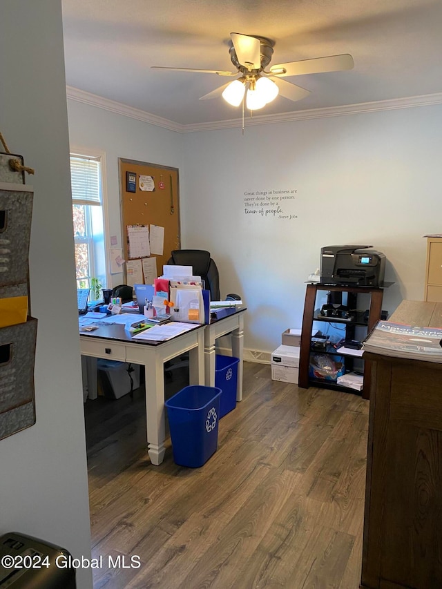 office featuring crown molding, wood-type flooring, and ceiling fan