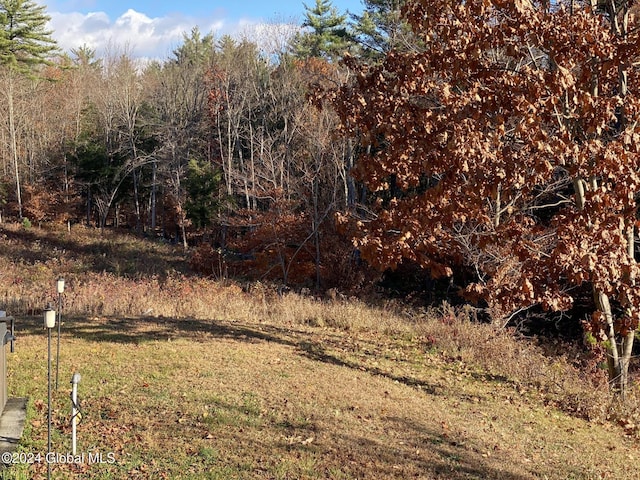 1750 Call St, Lake Luzerne, NY 12846 - photo 27