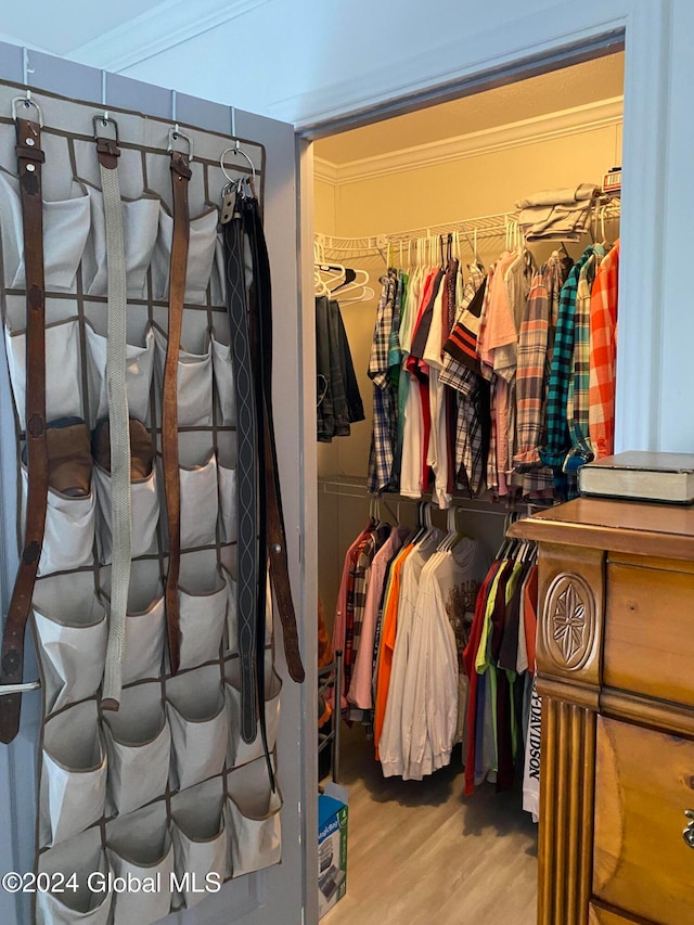 walk in closet featuring wood-type flooring