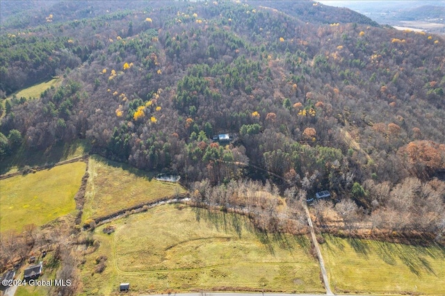 drone / aerial view with a rural view