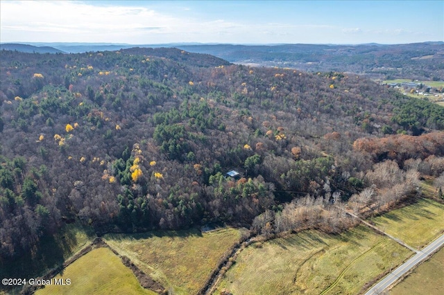 bird's eye view with a mountain view