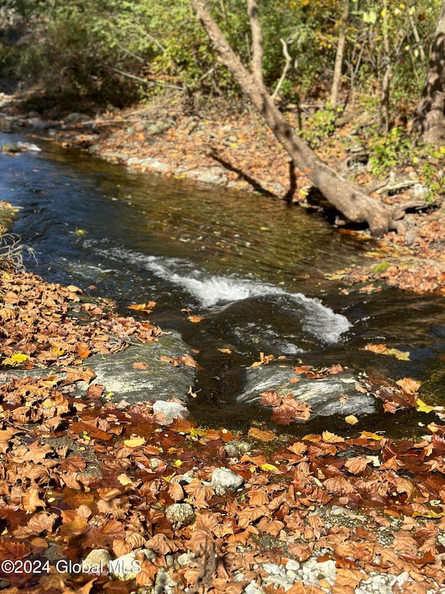 view of water feature