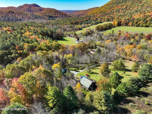 drone / aerial view featuring a mountain view