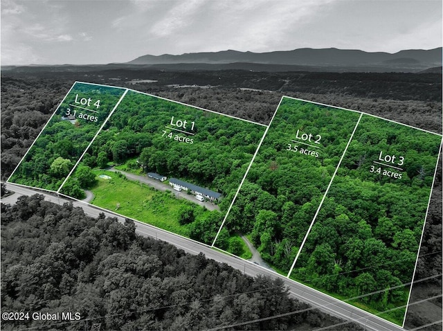 birds eye view of property featuring a mountain view