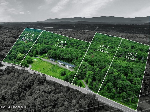 9071 Rte 9w Lot 1, Athens, NY 12015 - photo 1
