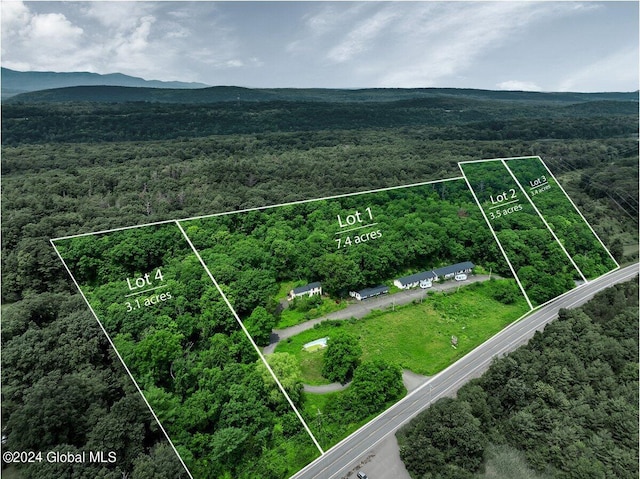 9071 Rte 9w Lot 1, Athens, NY 12015 - photo 2