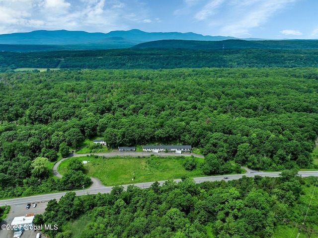 aerial view with a mountain view