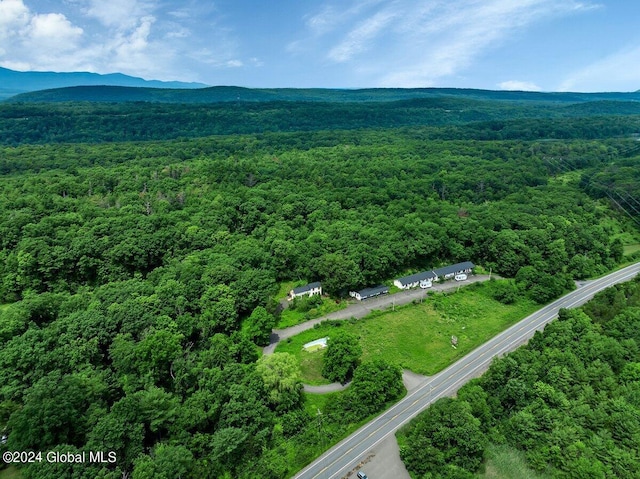 9071 Rte 9w Lot 1, Athens, NY 12015 - photo 5