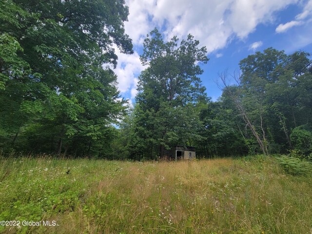 9071 Rte 9w Lot 1, Athens, NY 12015 - photo 15