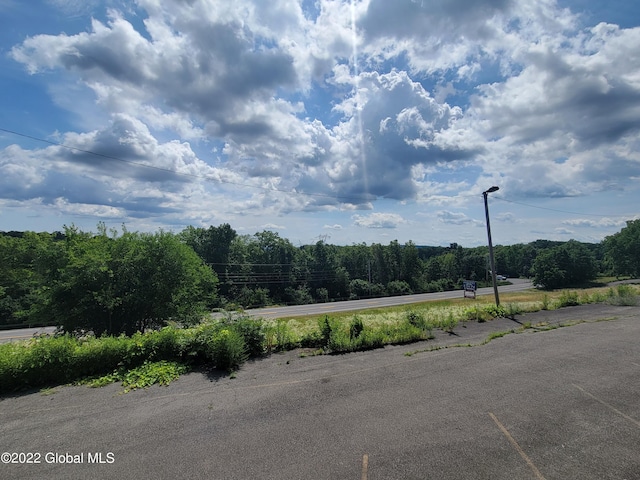 9071 Rte 9w Lot 1, Athens, NY 12015 - photo 26