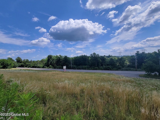 view of local wilderness