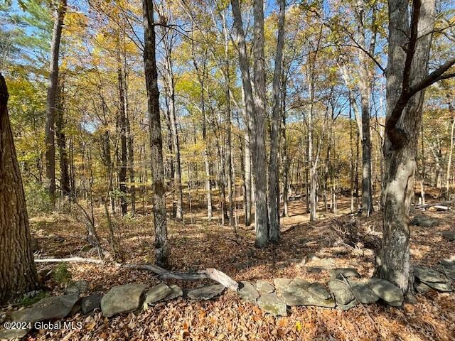 view of local wilderness