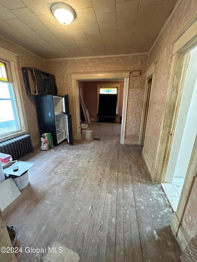 interior space featuring radiator, crown molding, and light hardwood / wood-style floors