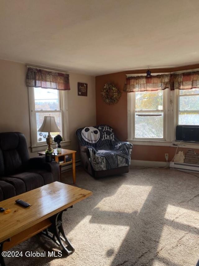 carpeted living room with a healthy amount of sunlight and a baseboard radiator