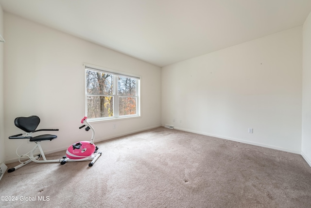 interior space with carpet floors