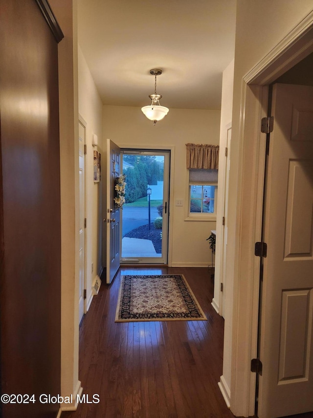 entryway featuring dark wood-type flooring