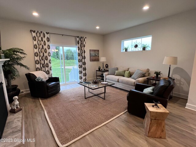 living room with hardwood / wood-style floors