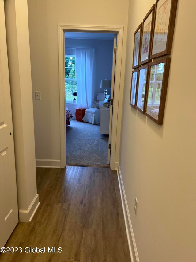 corridor featuring dark hardwood / wood-style floors