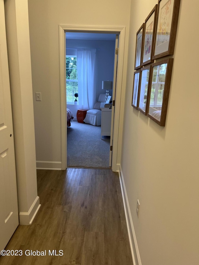 hallway featuring baseboards and dark wood-type flooring