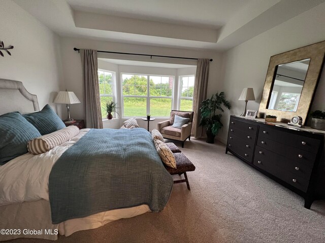 bedroom with light colored carpet and a tray ceiling