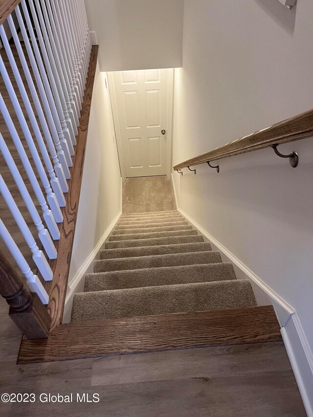 stairs featuring carpet floors