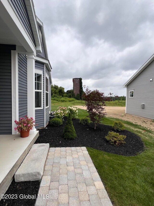 view of yard featuring a patio area