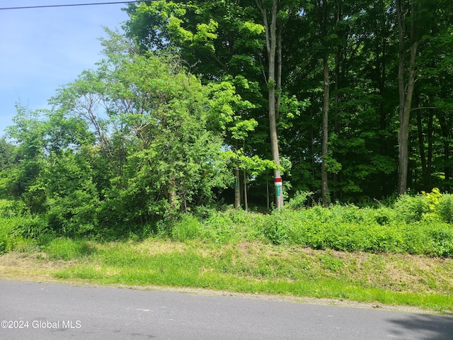 70 Gronczniak Rd, Stillwater NY, 12170 land for sale