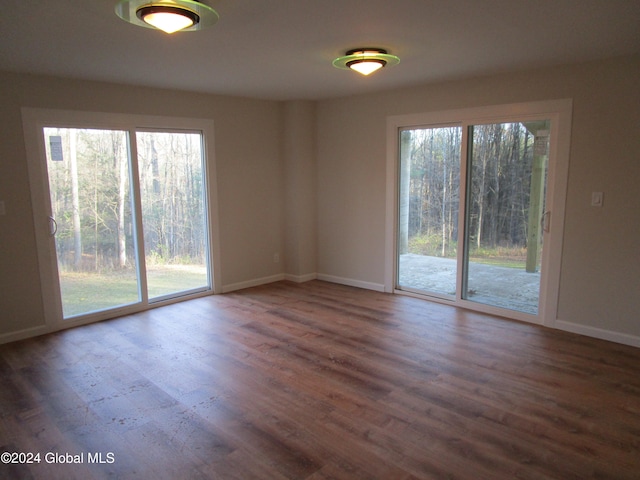 spare room featuring plenty of natural light and dark hardwood / wood-style floors