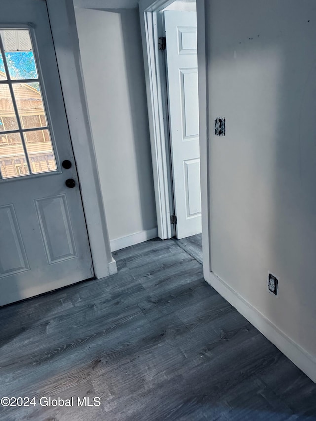 foyer entrance featuring dark wood-type flooring