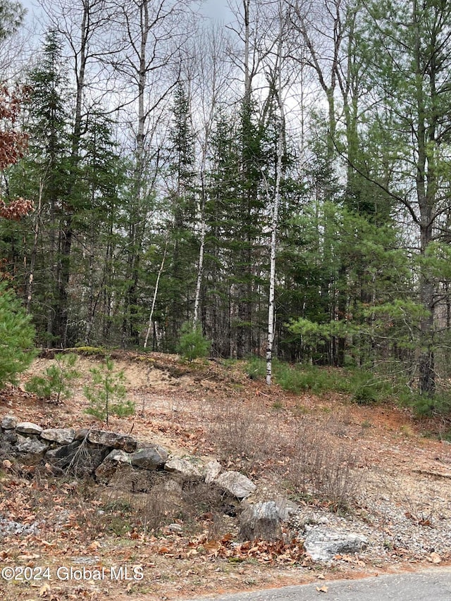 8 Mountain Path, Johnsburg NY, 12853 land for sale