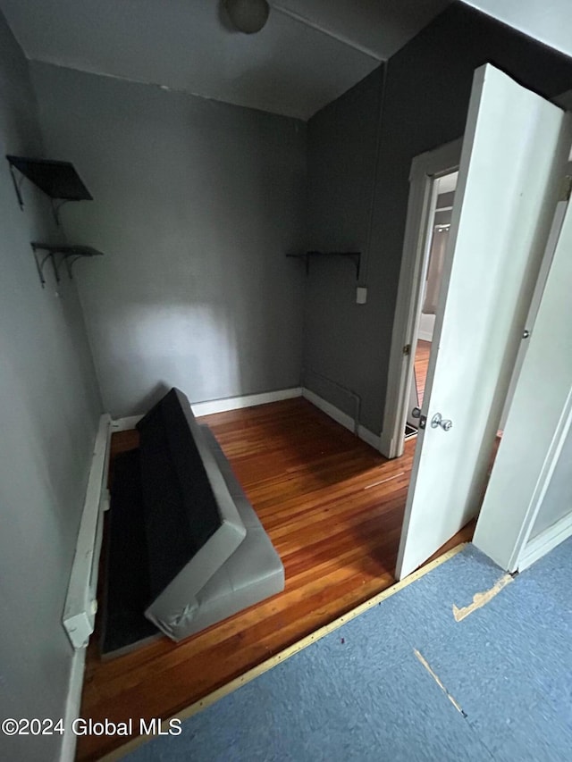 bathroom featuring hardwood / wood-style flooring