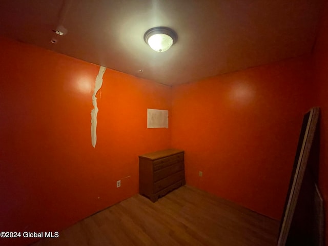 unfurnished room with wood-type flooring