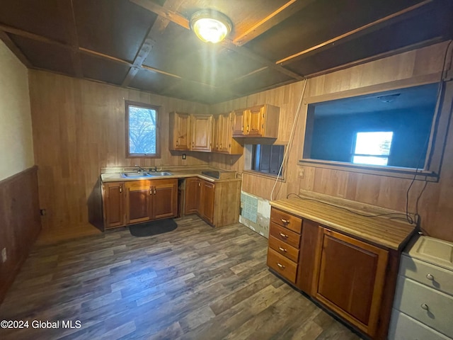 kitchen featuring dark wood-type flooring, wooden walls, and sink