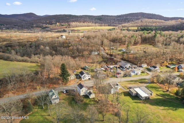 birds eye view of property with a mountain view